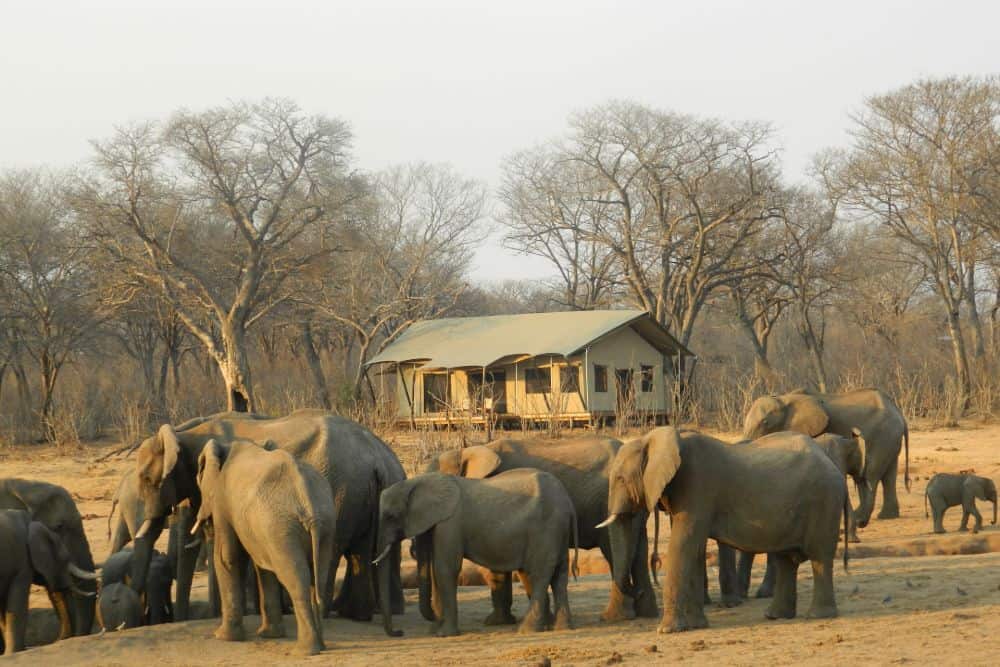 namibia luxus safari camp