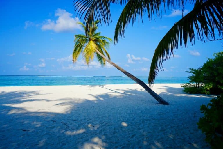 Insider-Tipp für das Meeru Island & Spa Resort