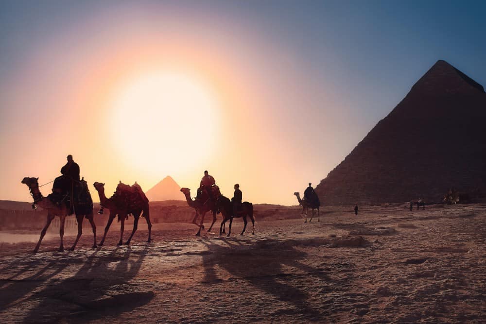 Eine Gruppe luxuriöser Kamele reitet während eines exklusiven Ausflugs vor den Pyramiden.