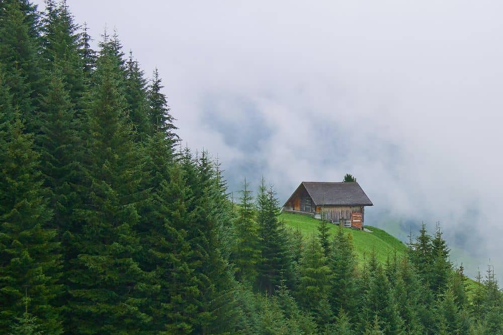 Ein kleines, luxuriöses Haus liegt auf einem Hügel in einem Wald und bietet exklusive Reiseerlebnisse inmitten der Natur.