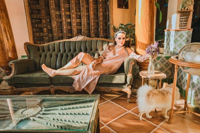 Haustierfreundliche Paläste: Luxushotels, in denen Ihr Fellbaby königlich behandelt wird