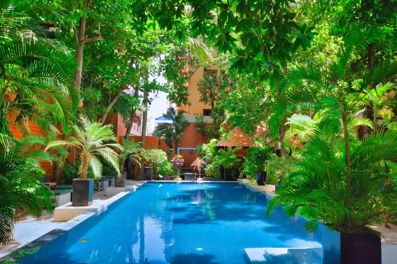a swimming pool surrounded by trees and plants